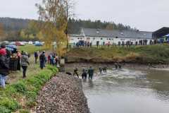 IMG-20191103-WA0031