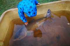 IMG-20191103-WA0045