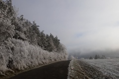20161230_123651